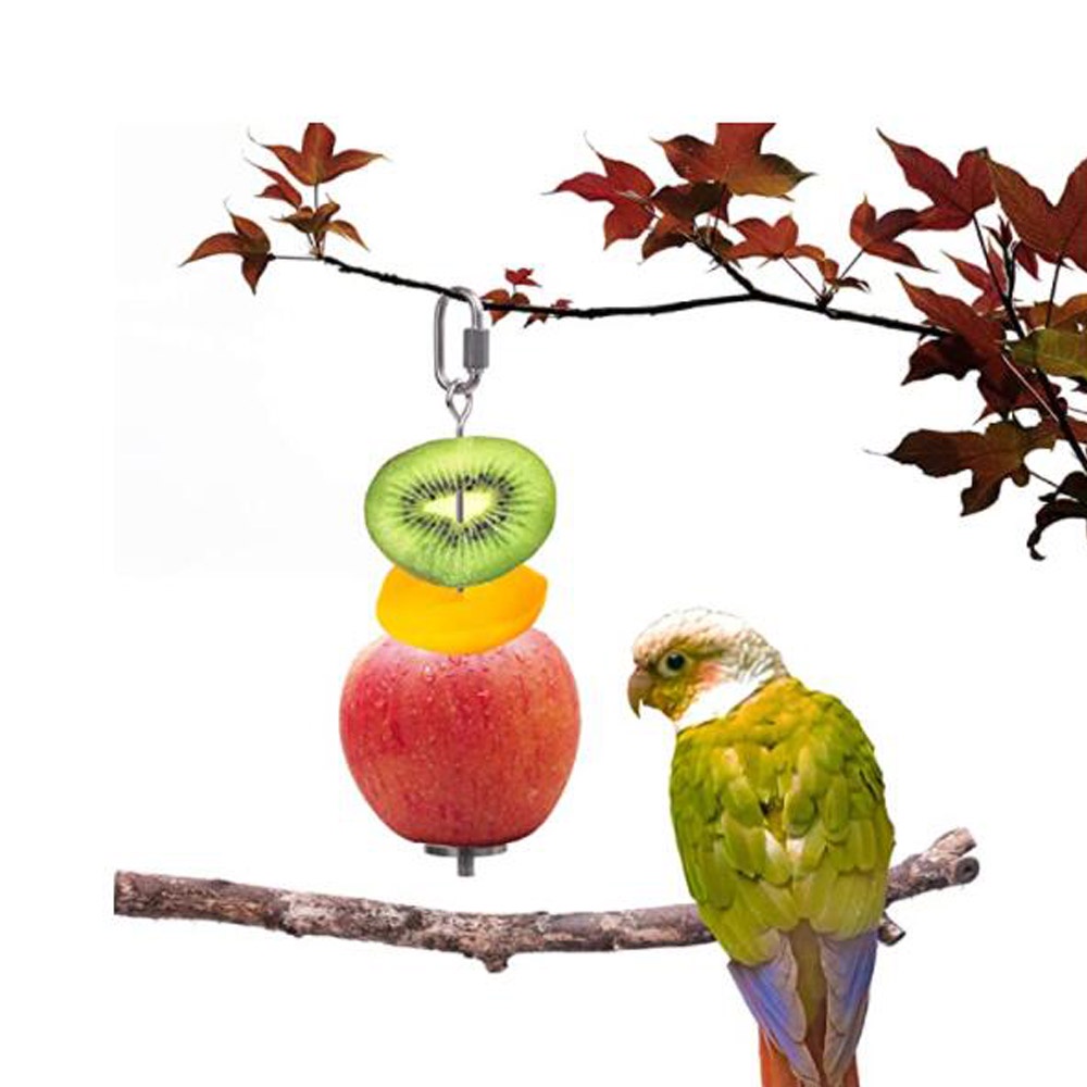 Stainless Steel Parrot Fruit Vegetable Stick Holder WoYous Bird Fruit Skewer and Bird Feeder Bowl Set Parrot Feeders Water Cage Bowls with Clamp Holder for Cockatiel Conure Parakeet Macaw 