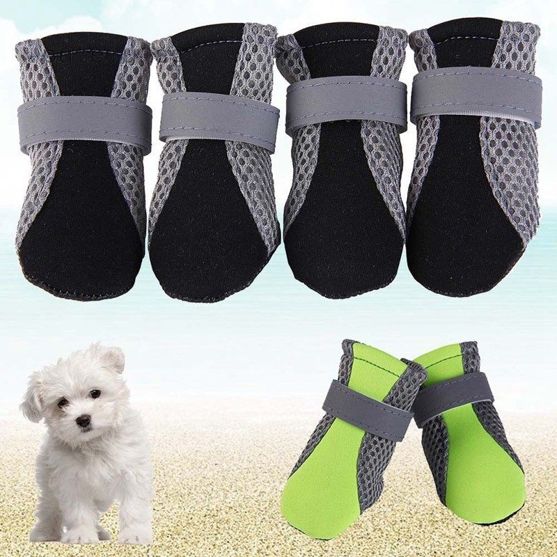 protective dog shoes