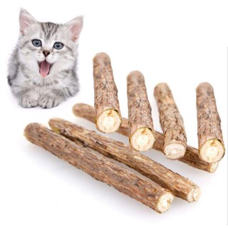 Cat Chew Silvervine Sticks, Organic for Dental Care Natural Catnip ...