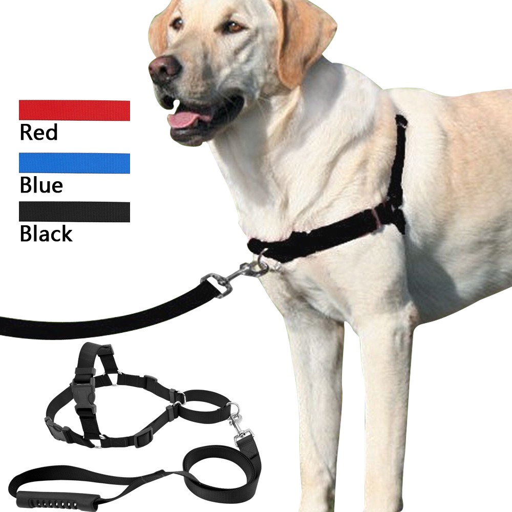 no choke dog leash