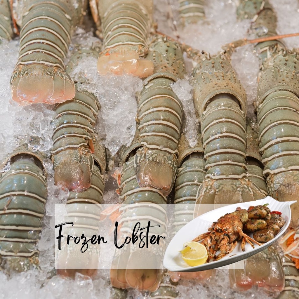 Frozen Lobster 冷冻龙虾