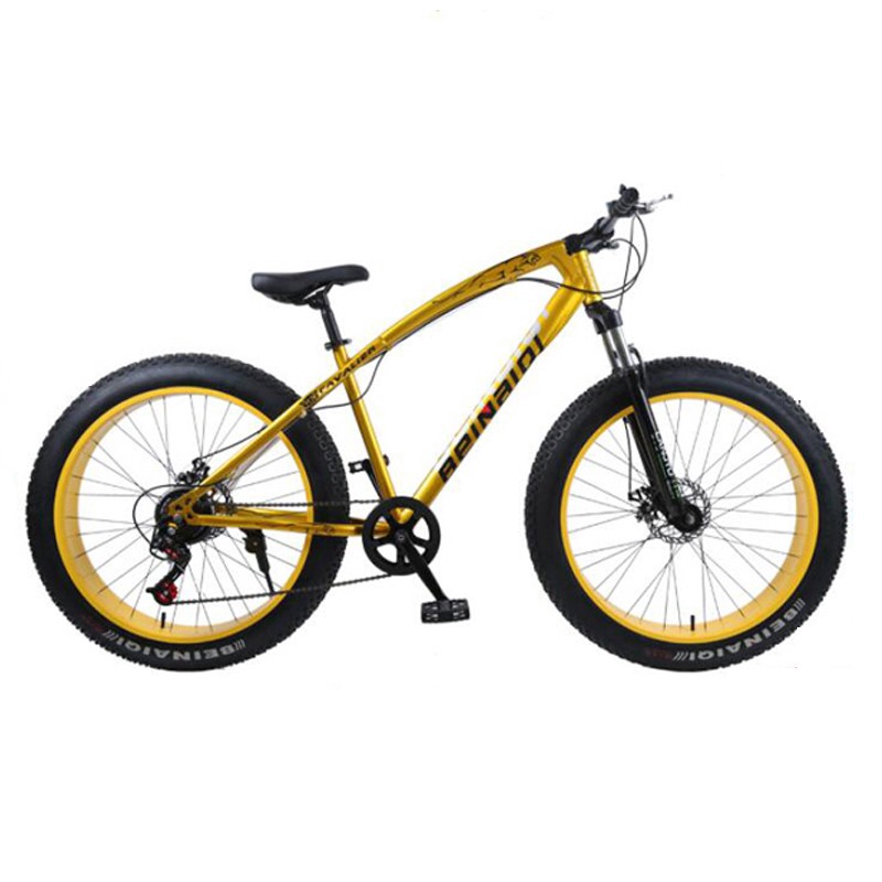 24 inch fat tire bicycle