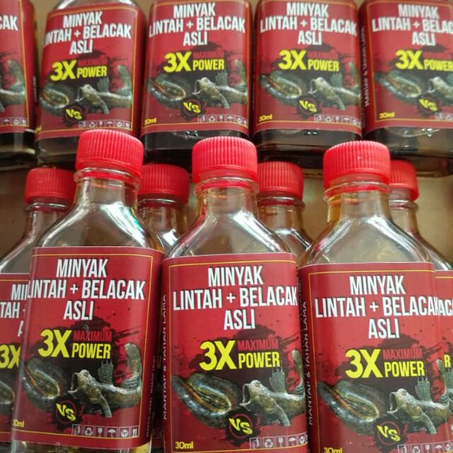 15+ Trend Terbaru Minyak Lintah Gunung Belacak Singapore ...