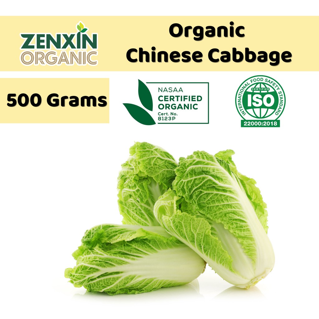 Organic Chinese Cabbage 500g Thailand Malaysia Shopee Singapore