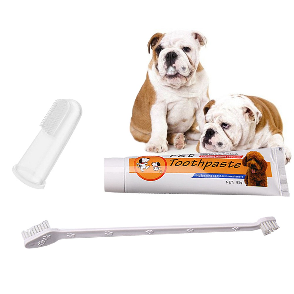 loronz dog toothbrush