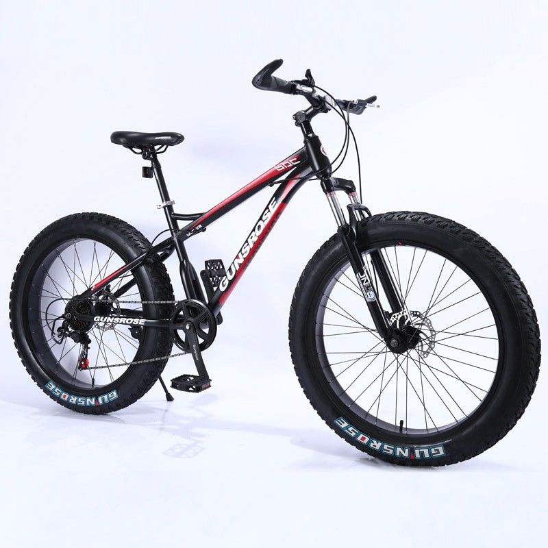 21 inch frame beach cruiser