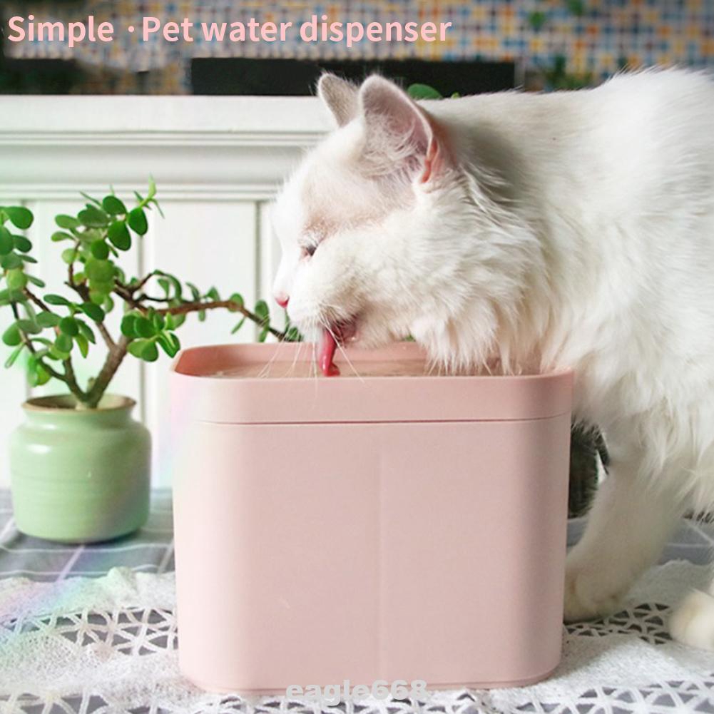automatic cat fountain