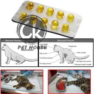 Cat Coral Stone Medicine / Urine Stone / Urine Stone - 10 capsule