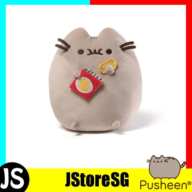 pusheen chip