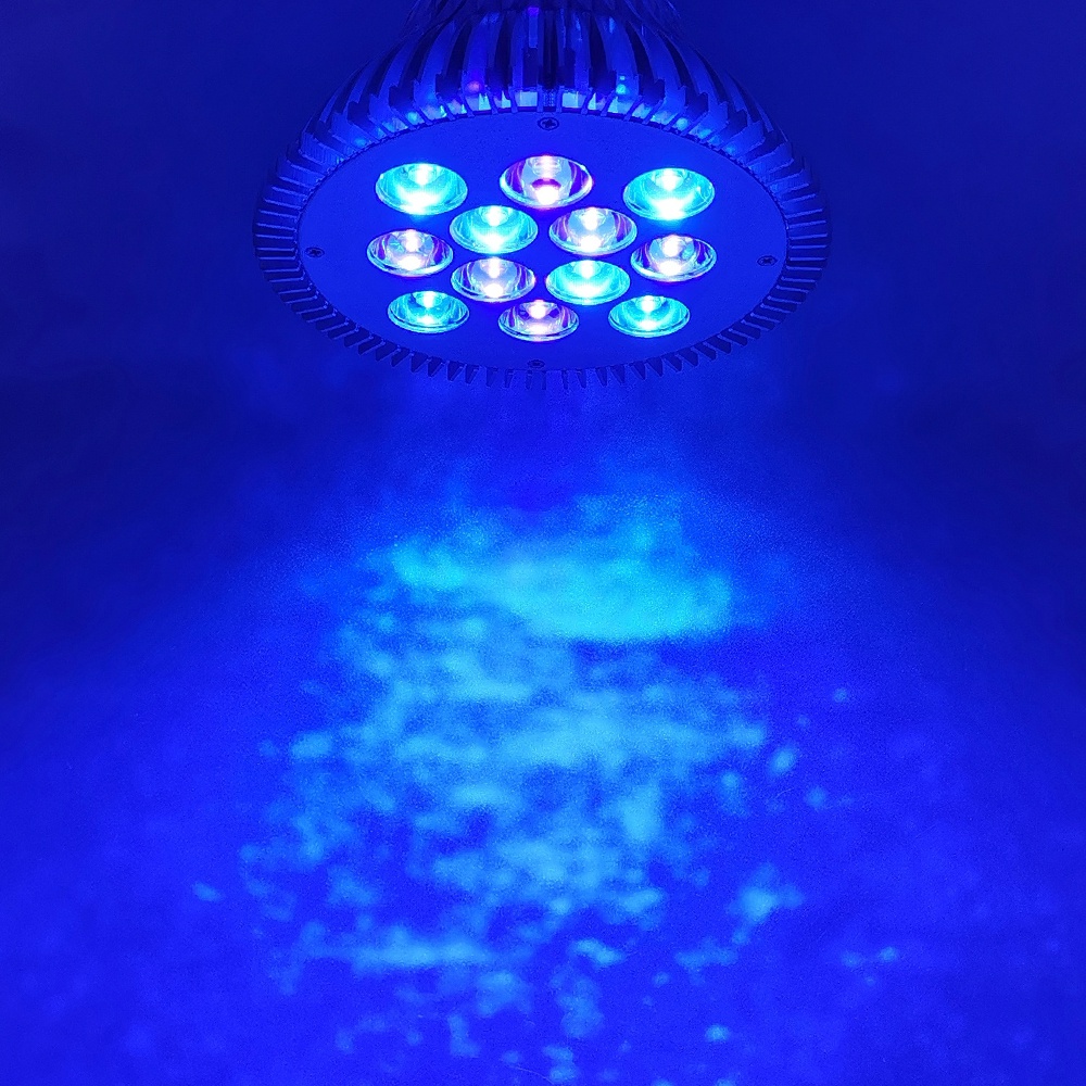 21W Cyan 500nm~470nm~450nm Blue LED Lamp Spot Light Bulb PAR30 Plant Aquarium 