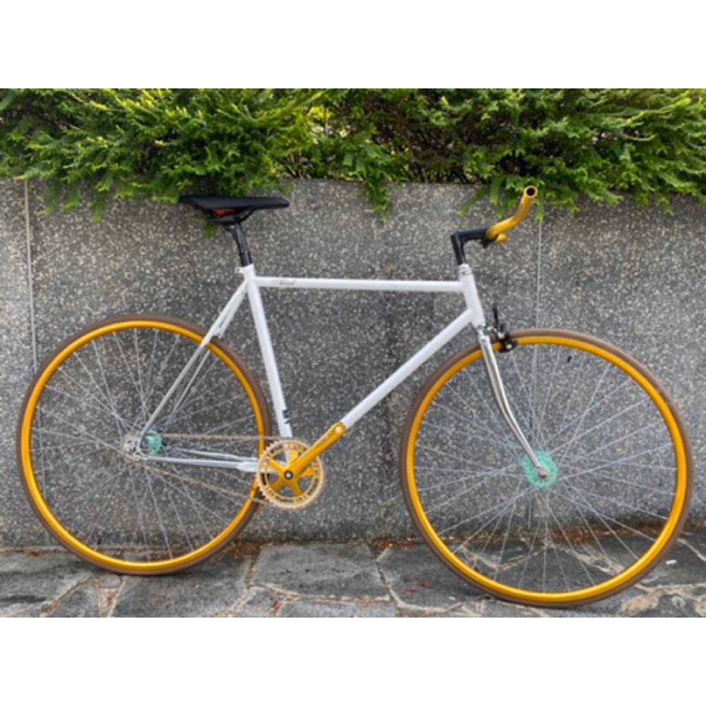 fixie with brakes
