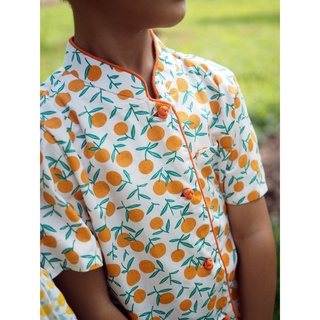 Mandarins Boys Mandarin Collar Shirt A200CEE22CS #5