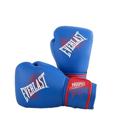everlast training