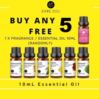 [SG SELLER] Evoke Occu 10ML Essential Oil Plant Therapy Aromatherapy Diffuser Humidifier Massage Skin Care Soap Making