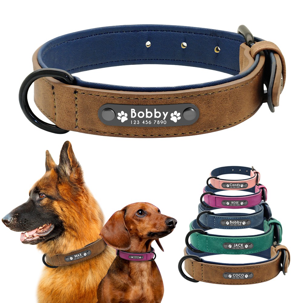 Soft Velvet Personalized Dog Collar Leather Padded for Small Medium