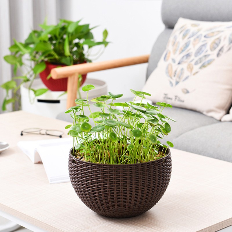 Flower Pot Garden Plant Chain Hanging Planters Balcony Shopee Singapore