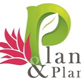 Plant & Plant store logo