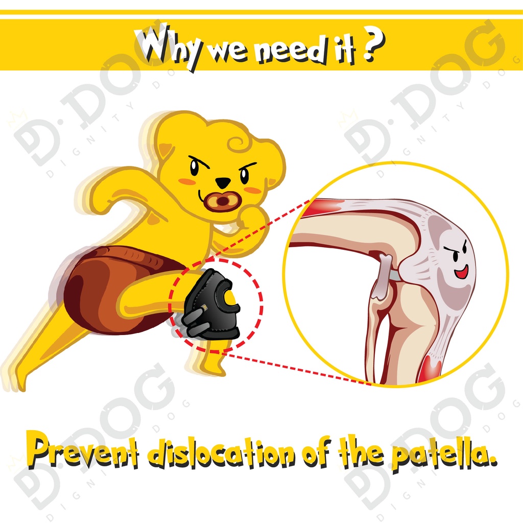 【 DIGNITYDOG 】 Korean pet health training supplies joint knee patella protector sprain prevention black S M L types