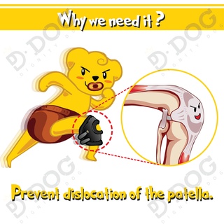 【 DIGNITYDOG 】 Korean pet health training supplies joint knee patella protector sprain prevention black S M L types #3