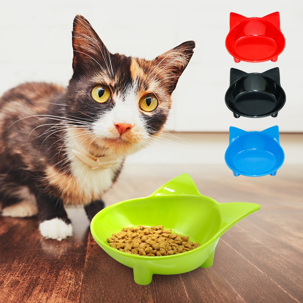 cat food dishes