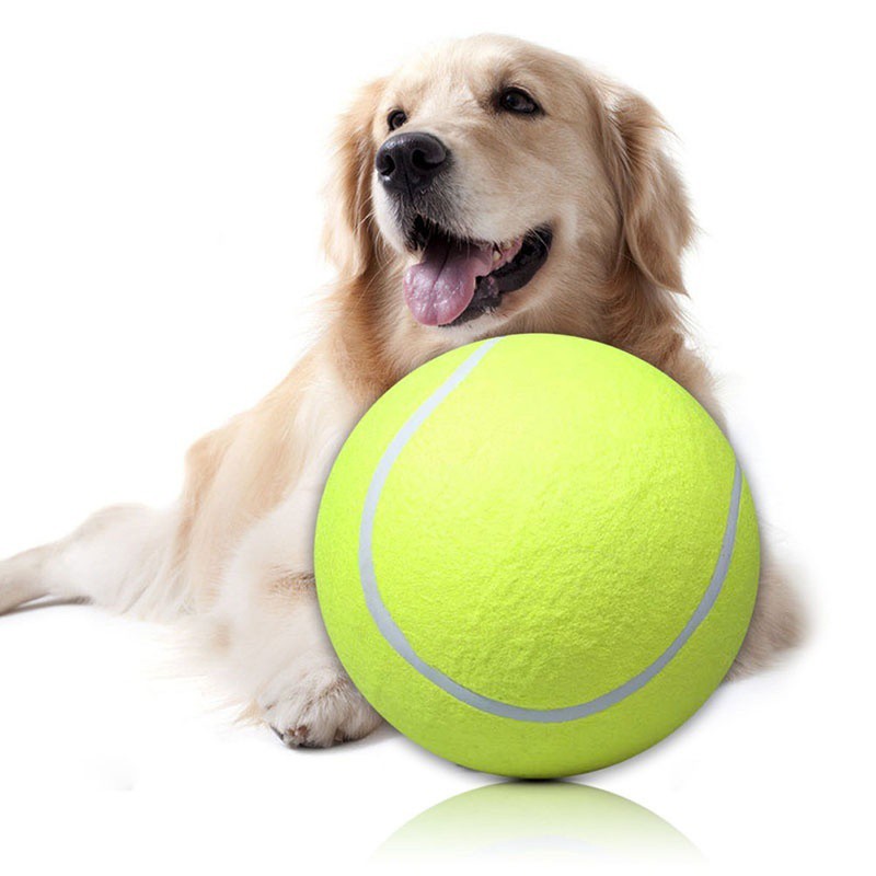 big tennis ball for dogs