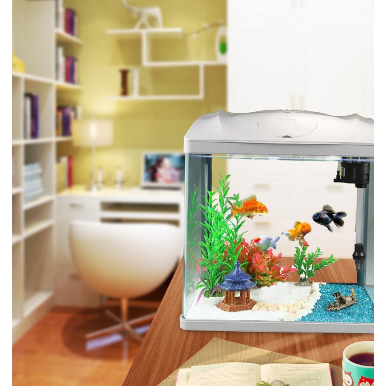 a small fish tank