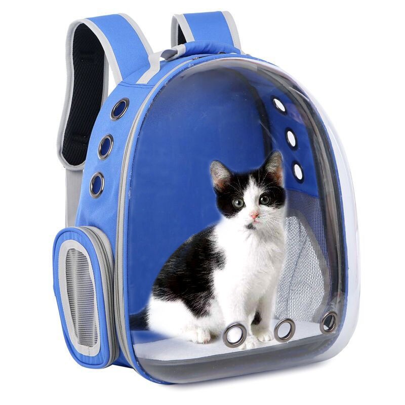 cat bag singapore
