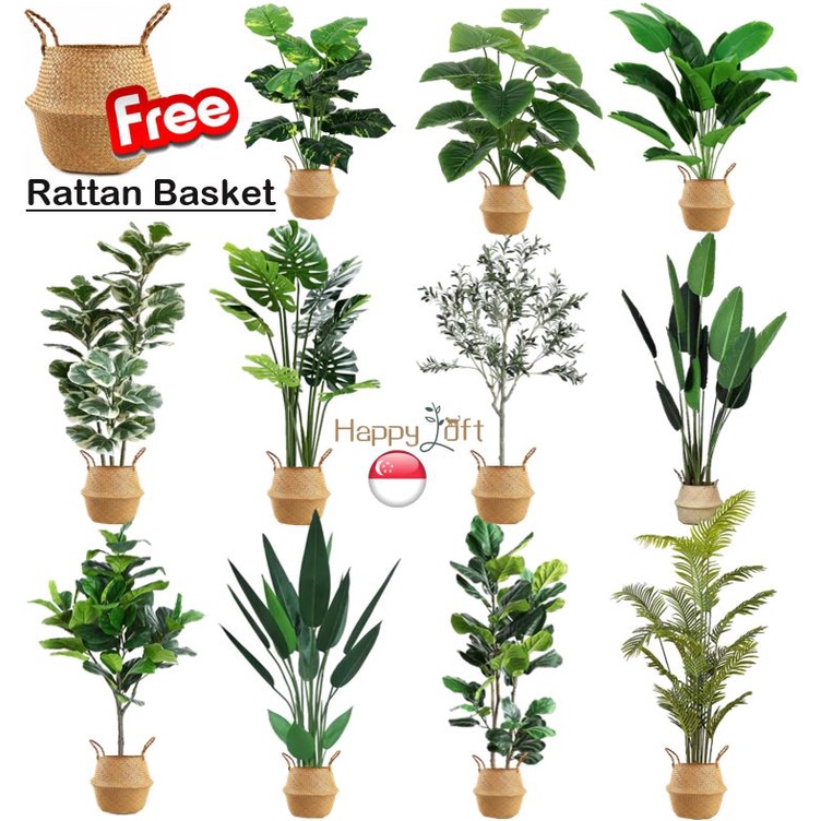 [SG SELLER] Artificial Plant Fake Plant With Free Rattan Basket Small Large Potted Plants Home