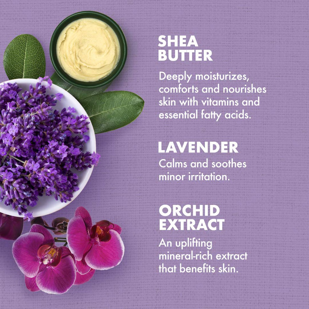 shea moisture lavender and wild orchid scrub