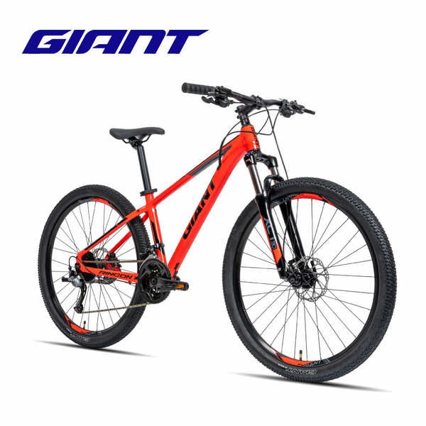 mountain bike brand giant