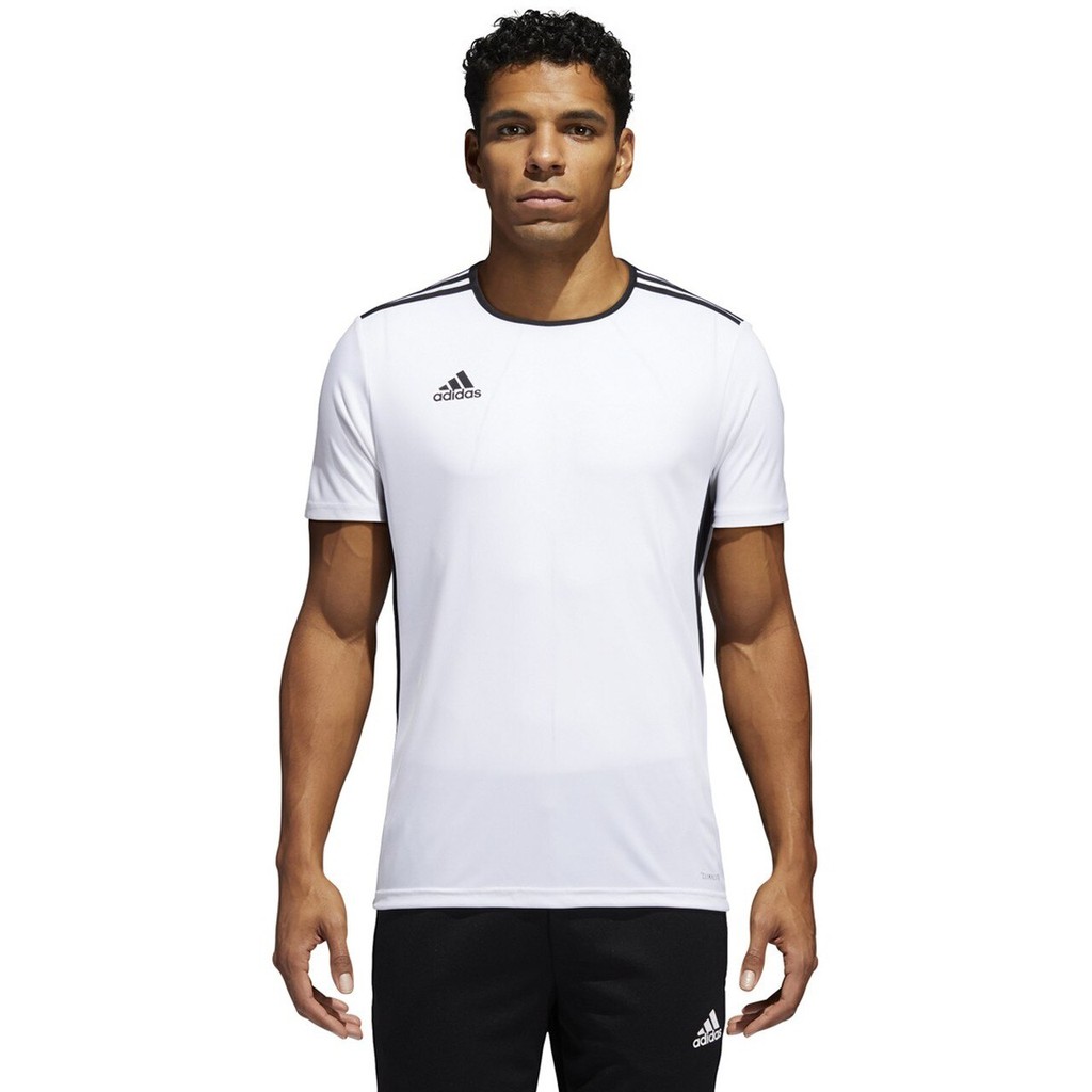 adidas entrada 18 shorts