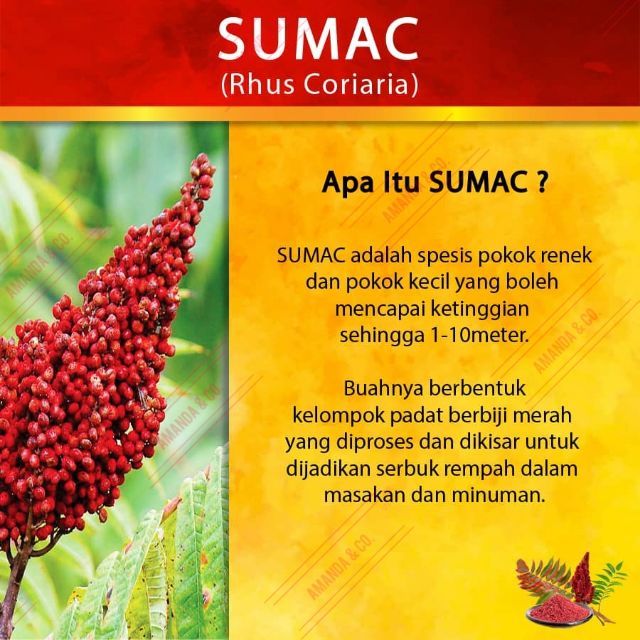 Shop Malaysia Hotselling 100 Pure Sumac Lebanon 50gram 100gram Sumac Powder Sumac Tea Teh Sumac Shopee Singapore