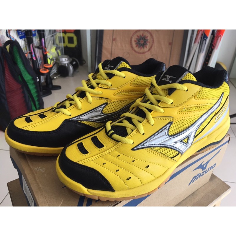 mizuno wave gate