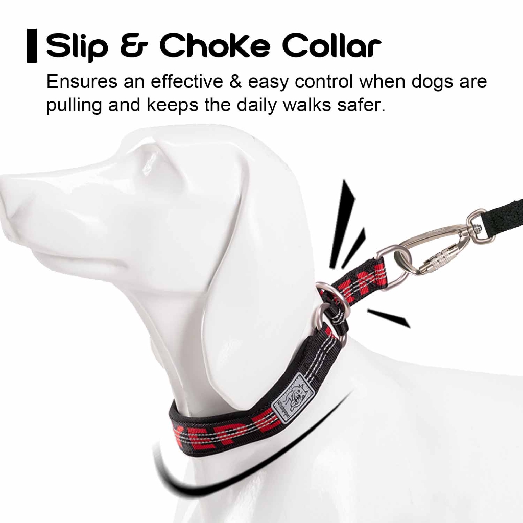 Nylon Pet Dog Choke Collar and Leash Set Small Large Dog Slip Lead Blue Coffee 