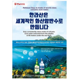 Jeju Hallasan 17 Soju - Bundle Of 5 Bottles X 360ml 17% (Premium Soju ...