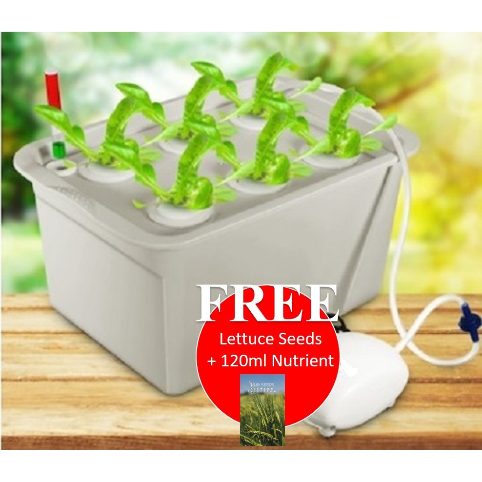 Ready Stock] 6 Hole Hydroponics Gardening Grow Kit c/w Complimentary Leafy  Seeds & Nutrients | Shopee Singapore