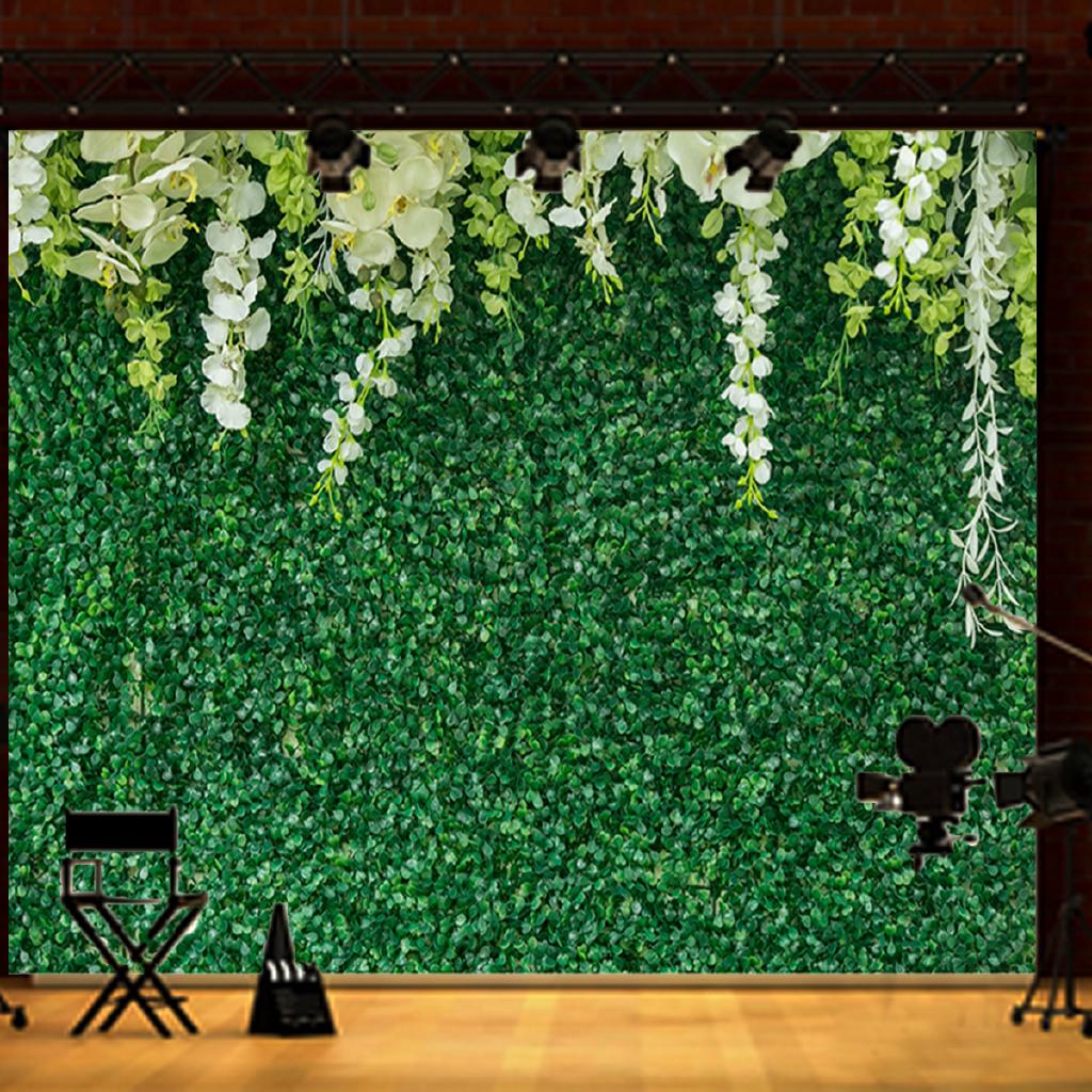 Backdrop Stand That Transforms Any Space Into a Instant Masterpiece