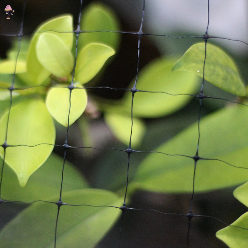 Garden Fencing Green Nylon Garden Netting Anti Bird Plant Pond Net Protection Vegetables Lc Garden Patio Coccinelli De