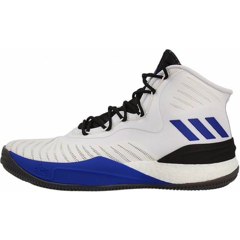derrick rose low cut shoes