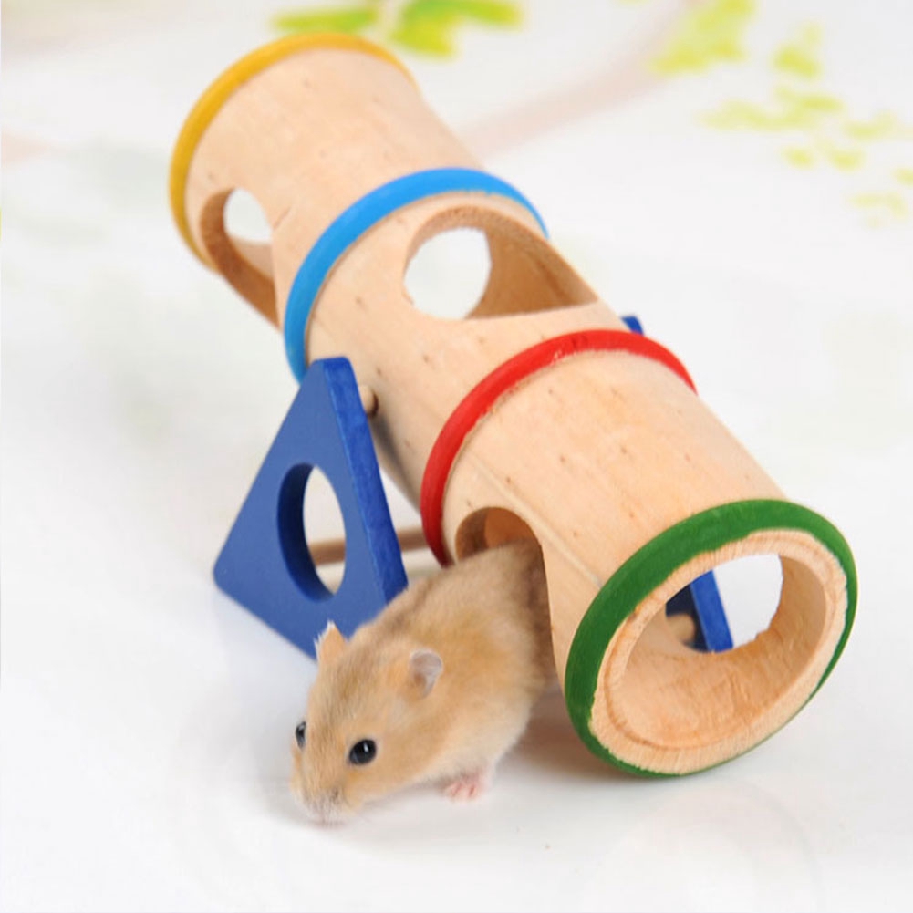Safe Chew Toys For Hamsters Wow Blog