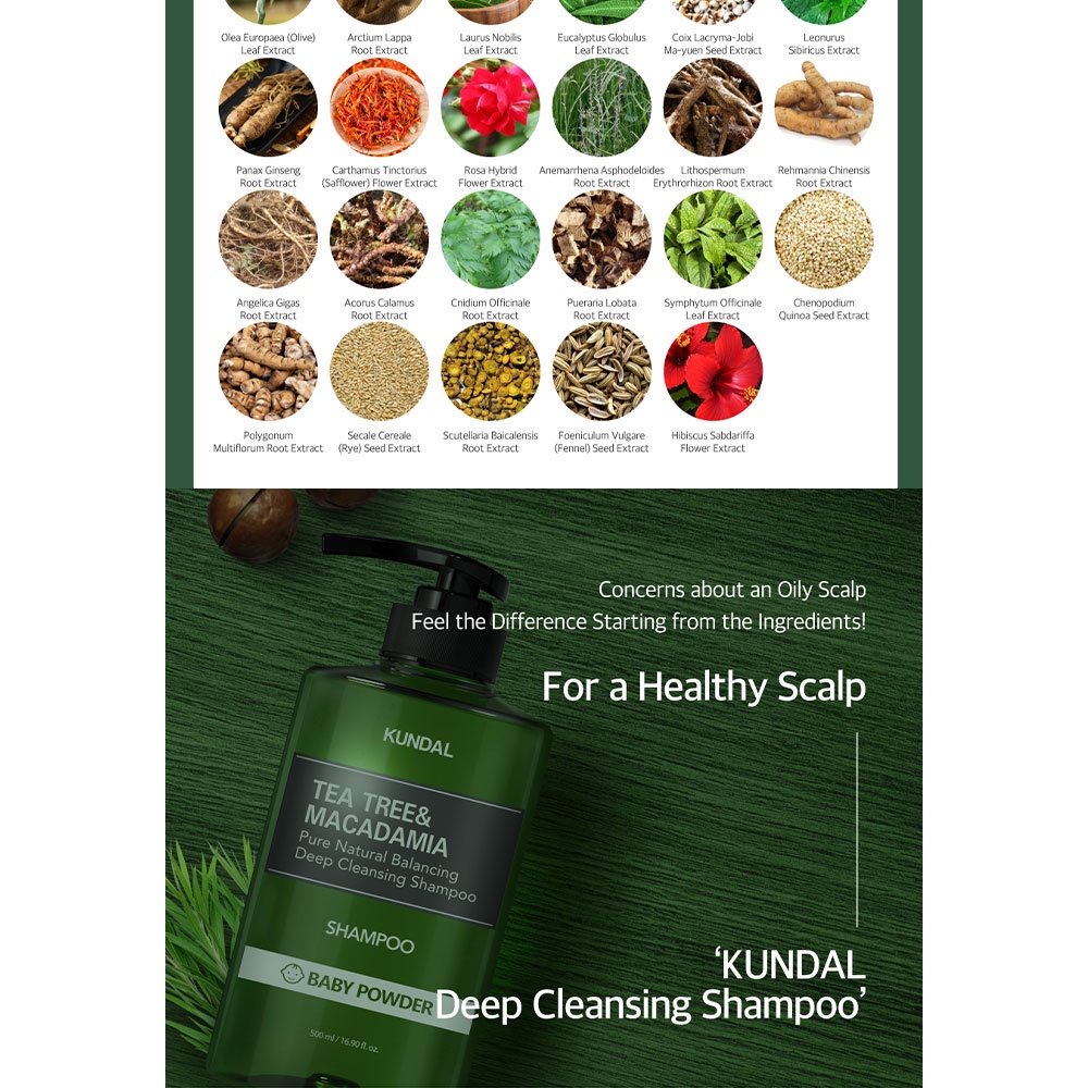 KUNDAL] Tea Tree & Macadamia Deep Cleansing Perfume Shampoo for Oily Hair  500ml | Shopee Singapore