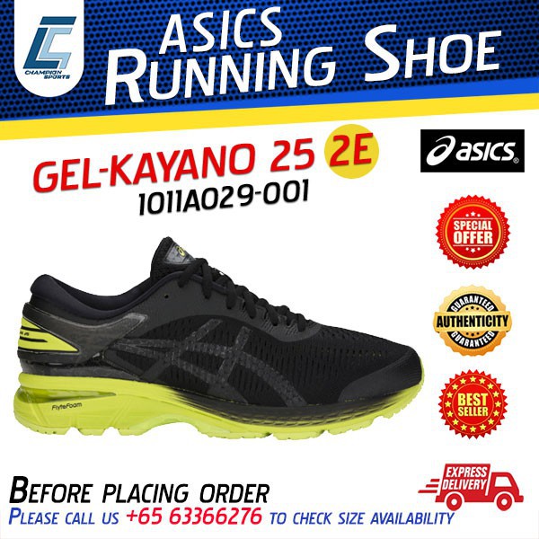 asics gel kayano 25 2e