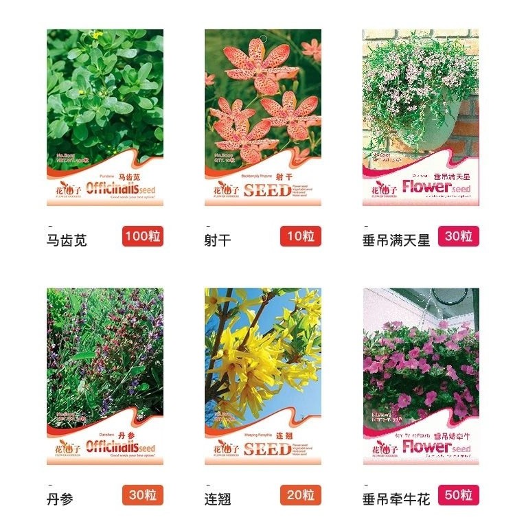 June.Xi Home & Garden, Online Shop | Shopee Singapore
