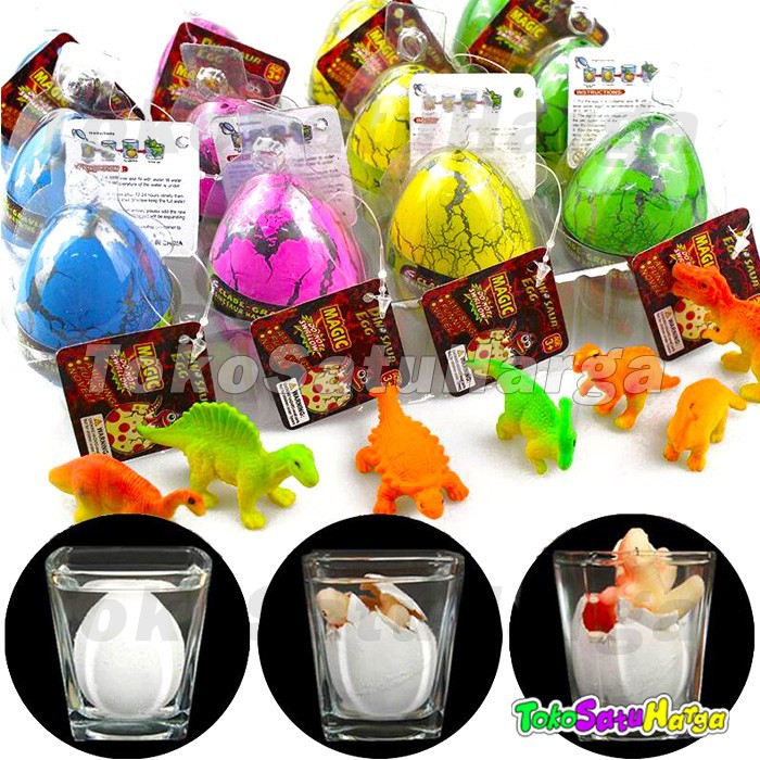 dino egg growing pet