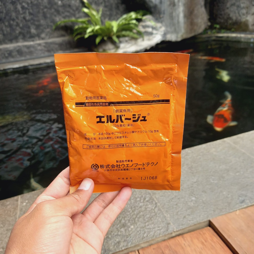 Elbayu (Elbayou) 50 Grams  Shopee Singapore