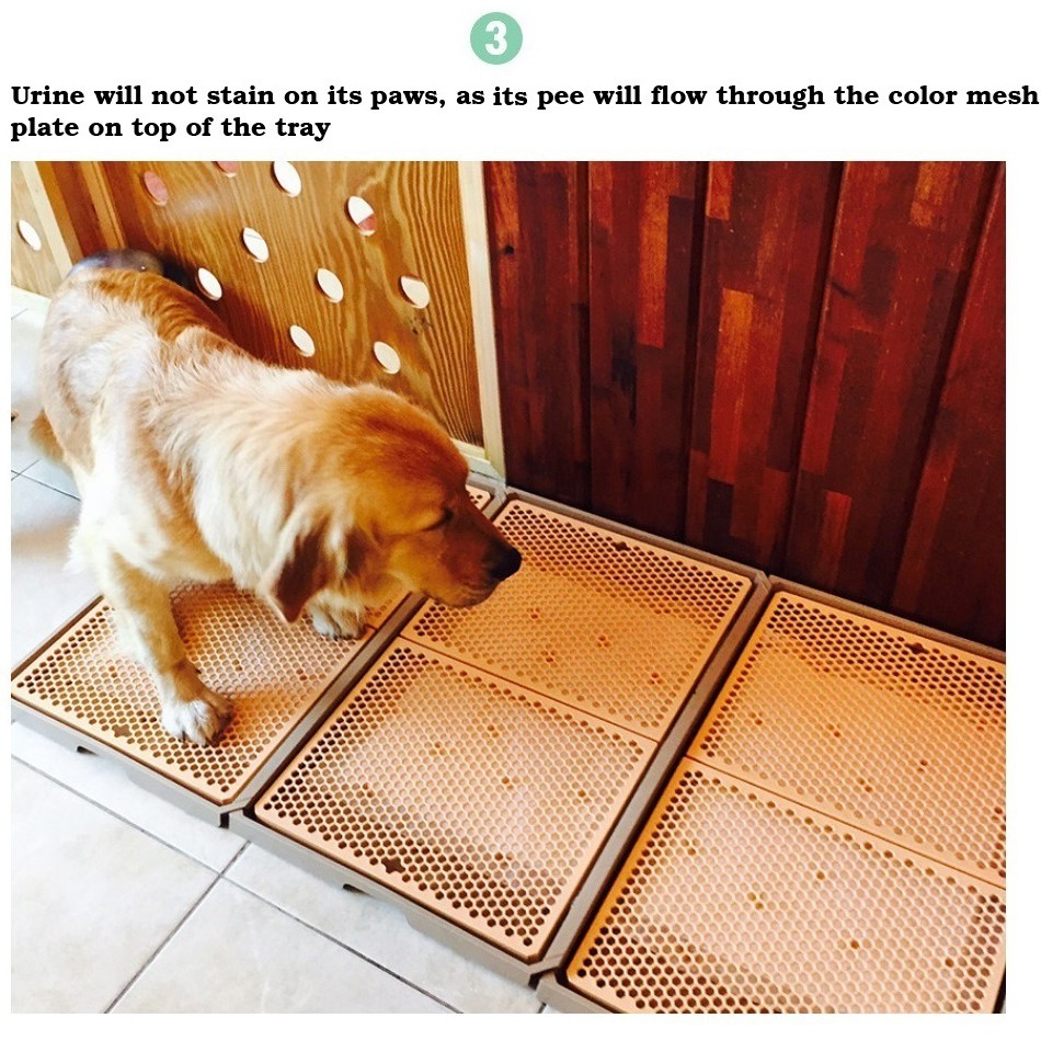 large pee tray
