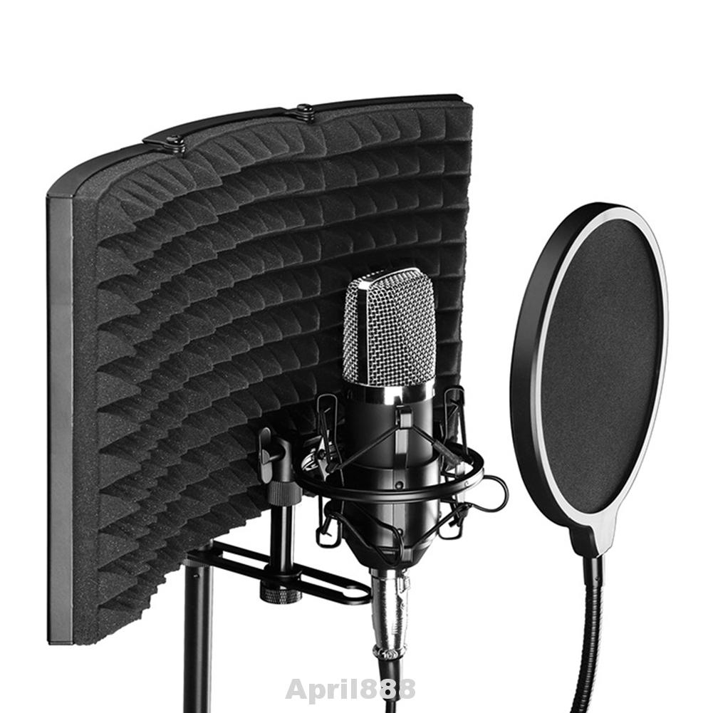noise reducer microphone