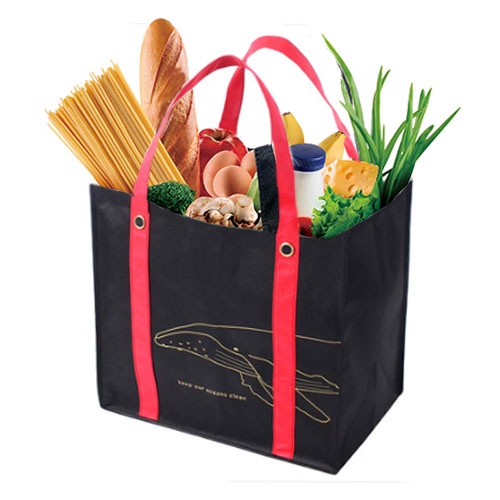 [SG] BYOB Grocery Shopping Bag / ECO Bags/ Grocery Bag / Recycle Bags ...
