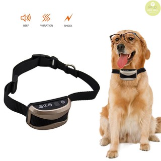 shock training collars for large dogs