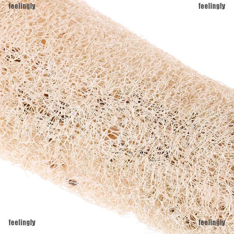 SUN Natural Luffa Loofah Antibacterial Bath Body Scrub L Shopee Singapore
